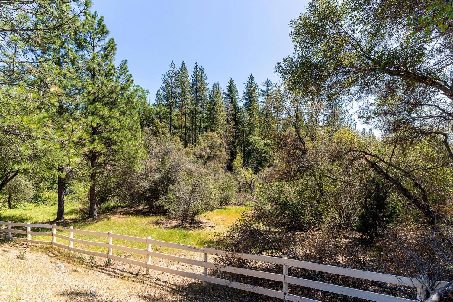 Grass Valley, CA 95949,13096 Thoroughbred LOOP