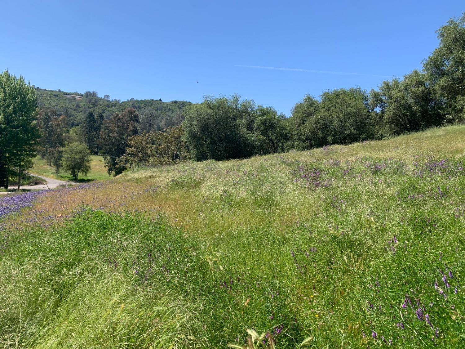 Shingle Springs, CA 95682,.75 Acre Banbury Cross/Holly RD