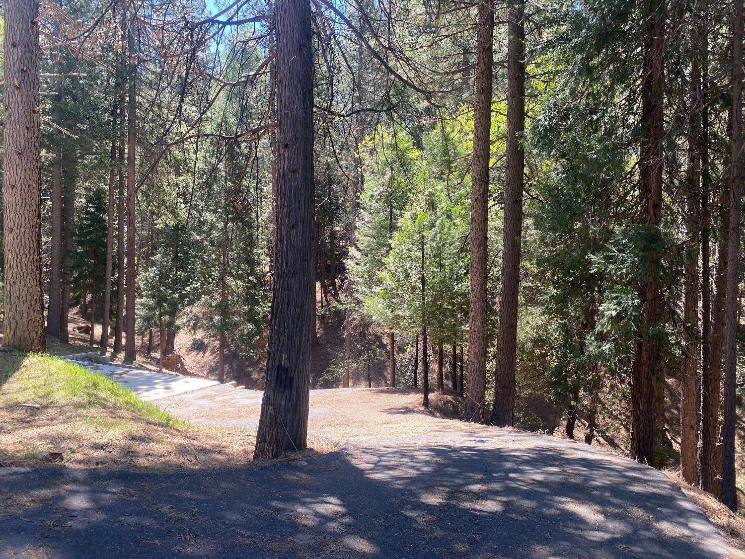 Pollock Pines, CA 95726,5693 Lupin LN