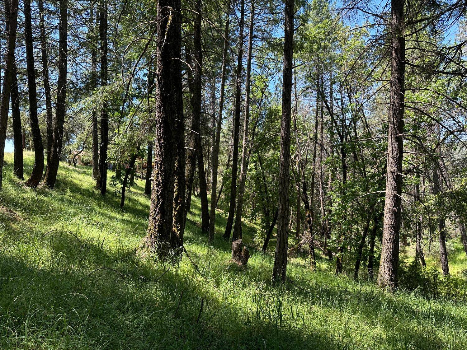 Cool, CA 95614,2663 Sweetwater Trail TRL