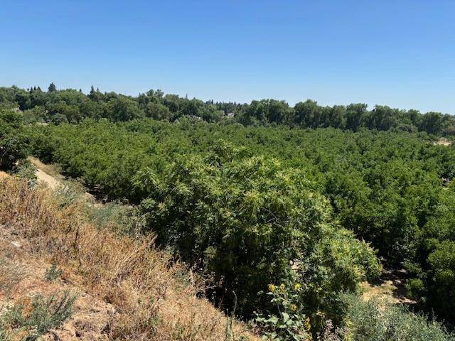 Oakdale, CA 95361,0 Jackson RD
