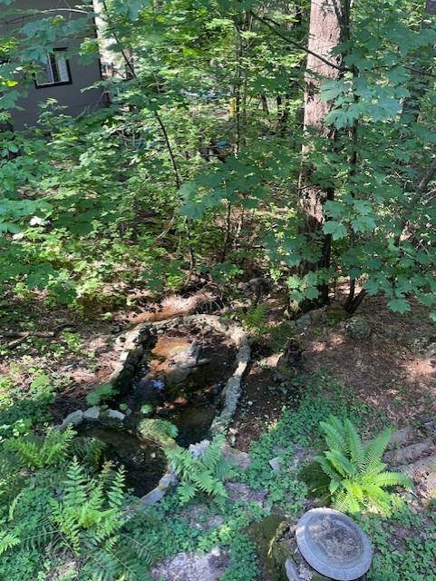 Pollock Pines, CA 95726,3312 Gold Ridge TRL