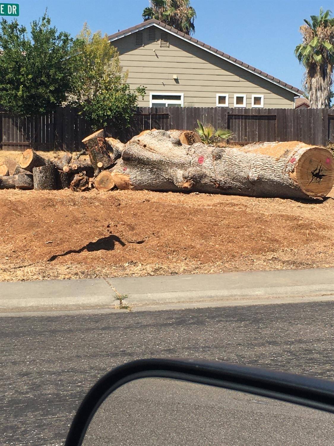 Ione, CA 95640,675 Oakshire DR