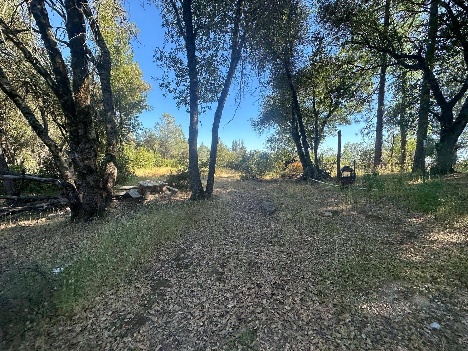 Sheep Ranch, CA 95246,12717 Armstrong RD