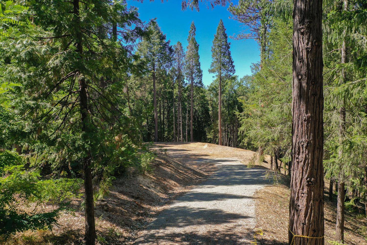 Nevada City, CA 95959,14321 Dorcelline CT