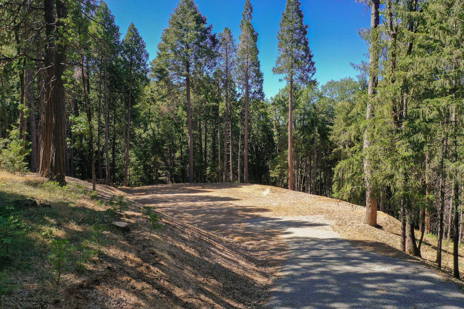 Nevada City, CA 95959,14321 Dorcelline CT