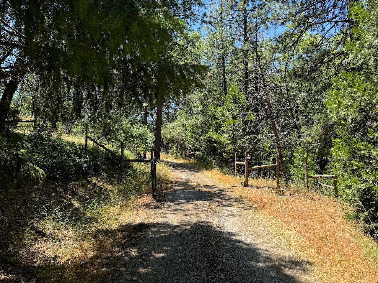 Wilseyville, CA 95257,6353 Blue Mountain RD