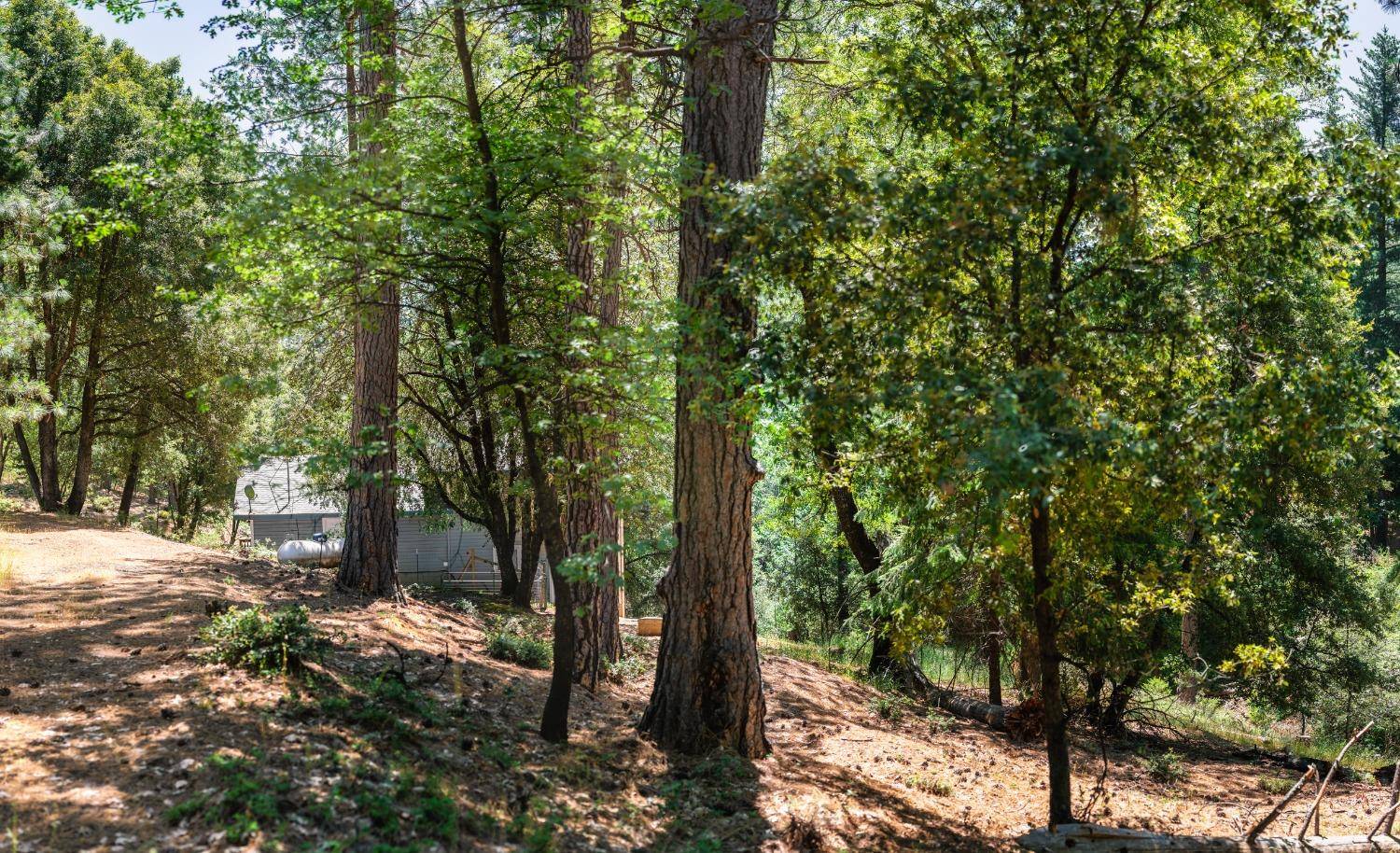 Placerville, CA 95667,0 Cedarwood LN