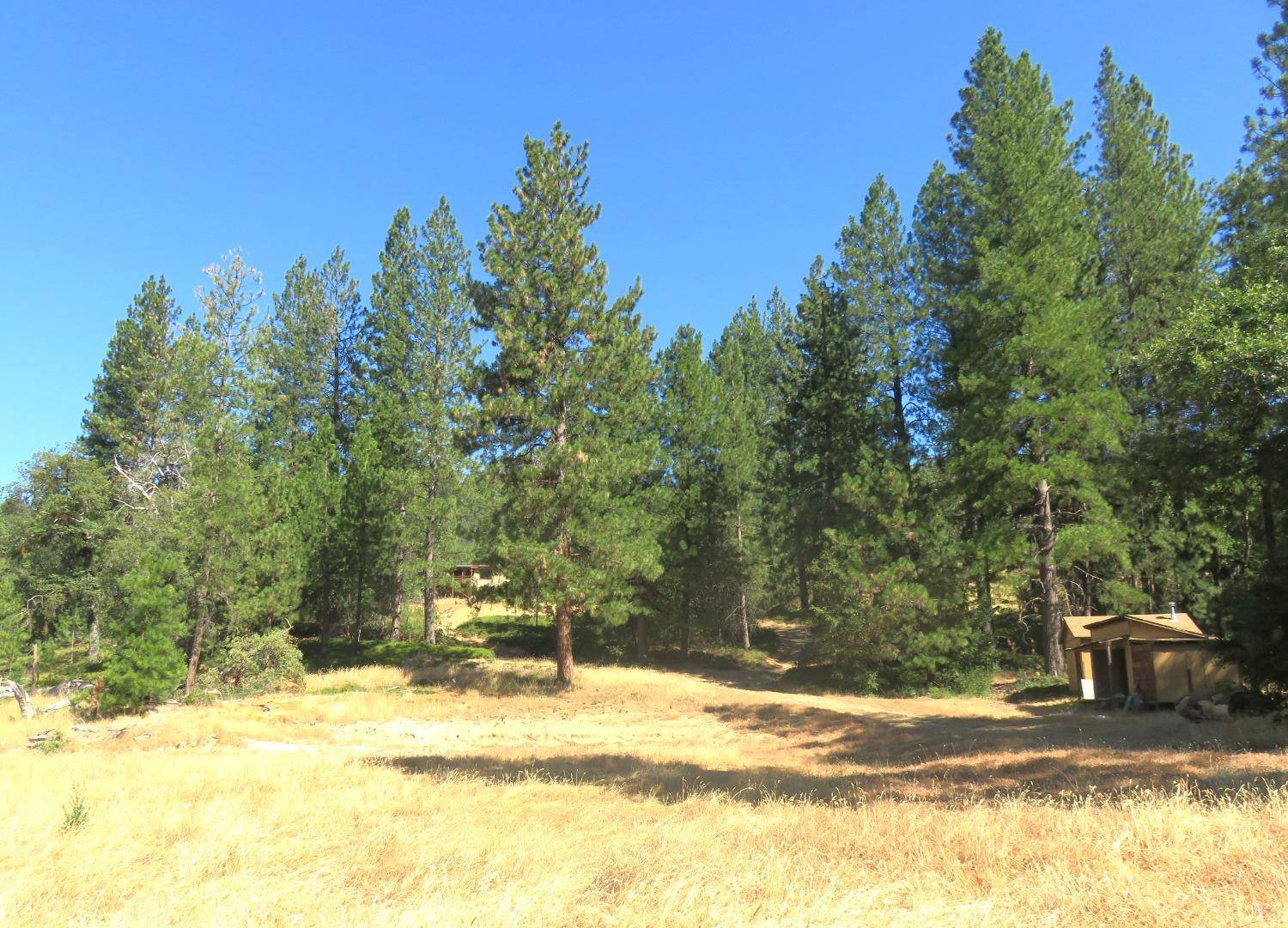 West Point, CA 95255,4426 Bald Mountain Road