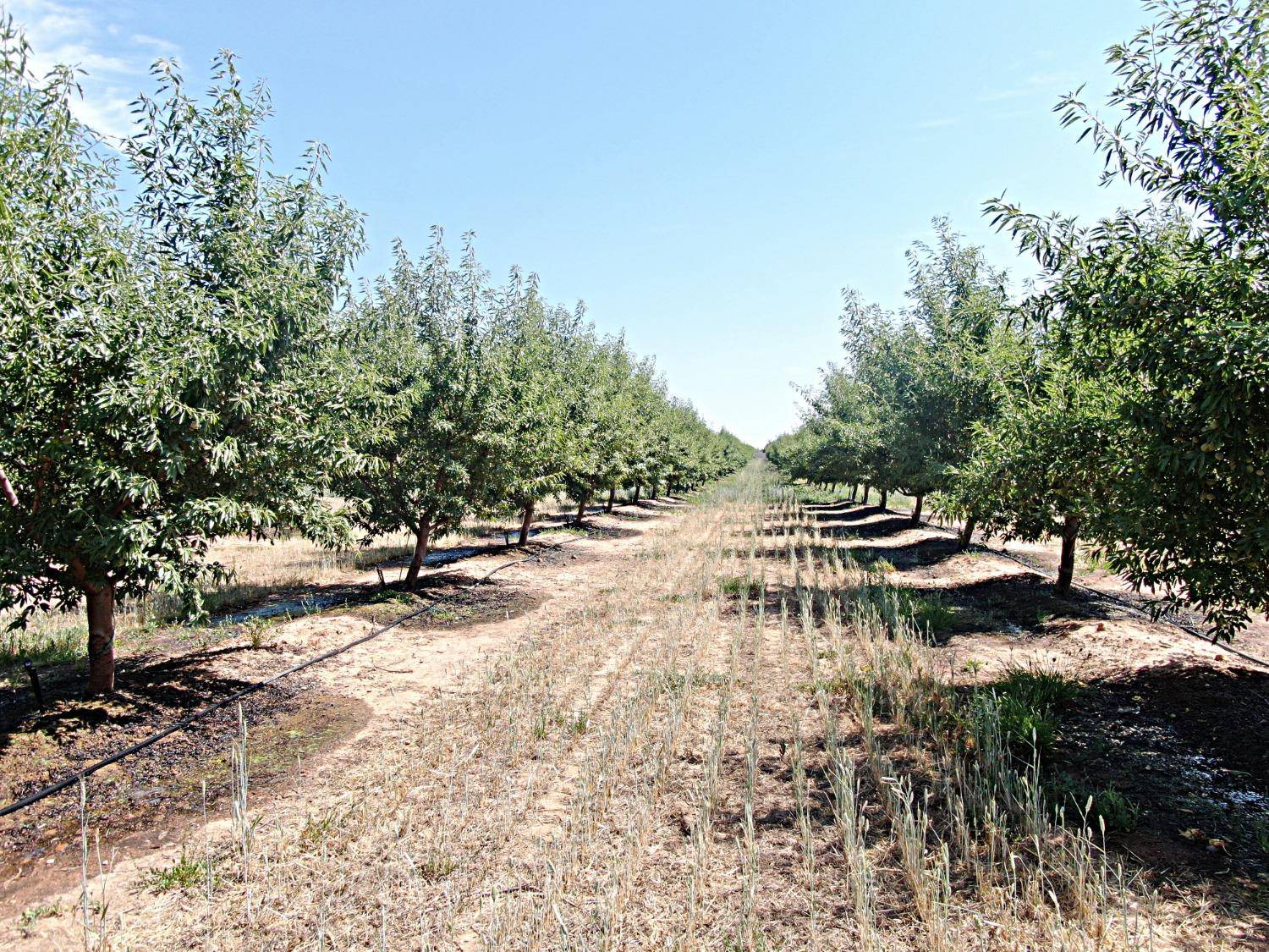 Lodi, CA 95240,13200 N Tully RD