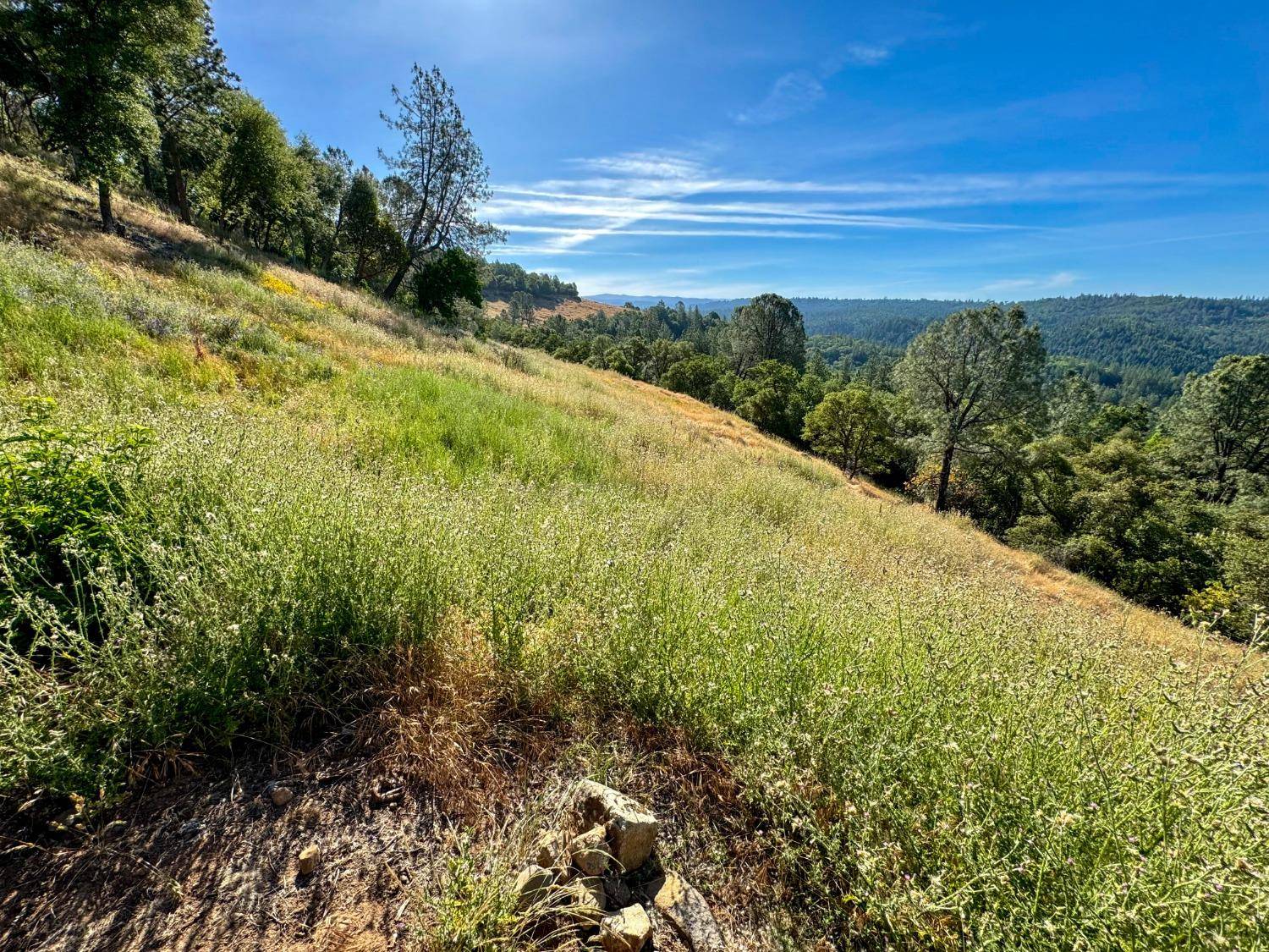 Placerville, CA 95667,1687 Duden DR