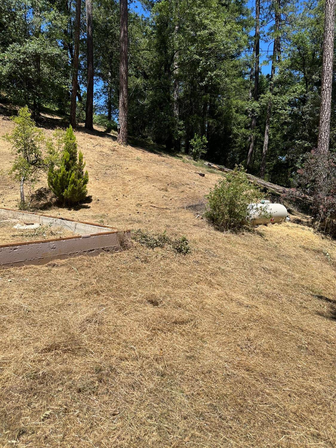 Greenwood, CA 95635,4418 Fire View CIR