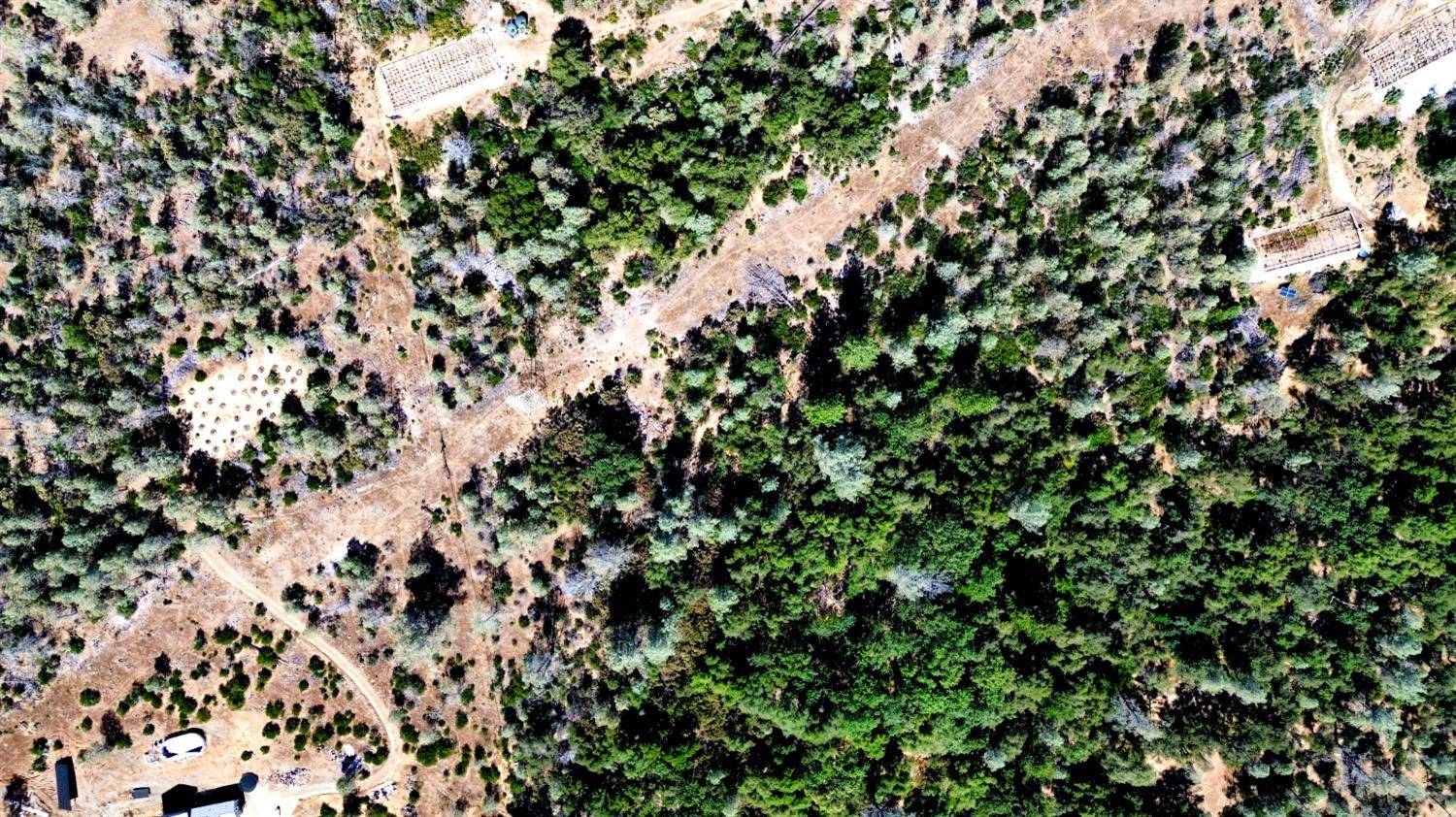 Grass Valley, CA 95949,22354 Cottage Hill DR