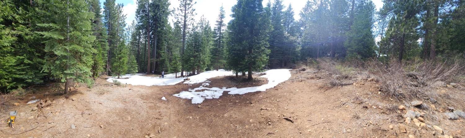Emigrant Gap, CA 95715,0 Skyline Dr.
