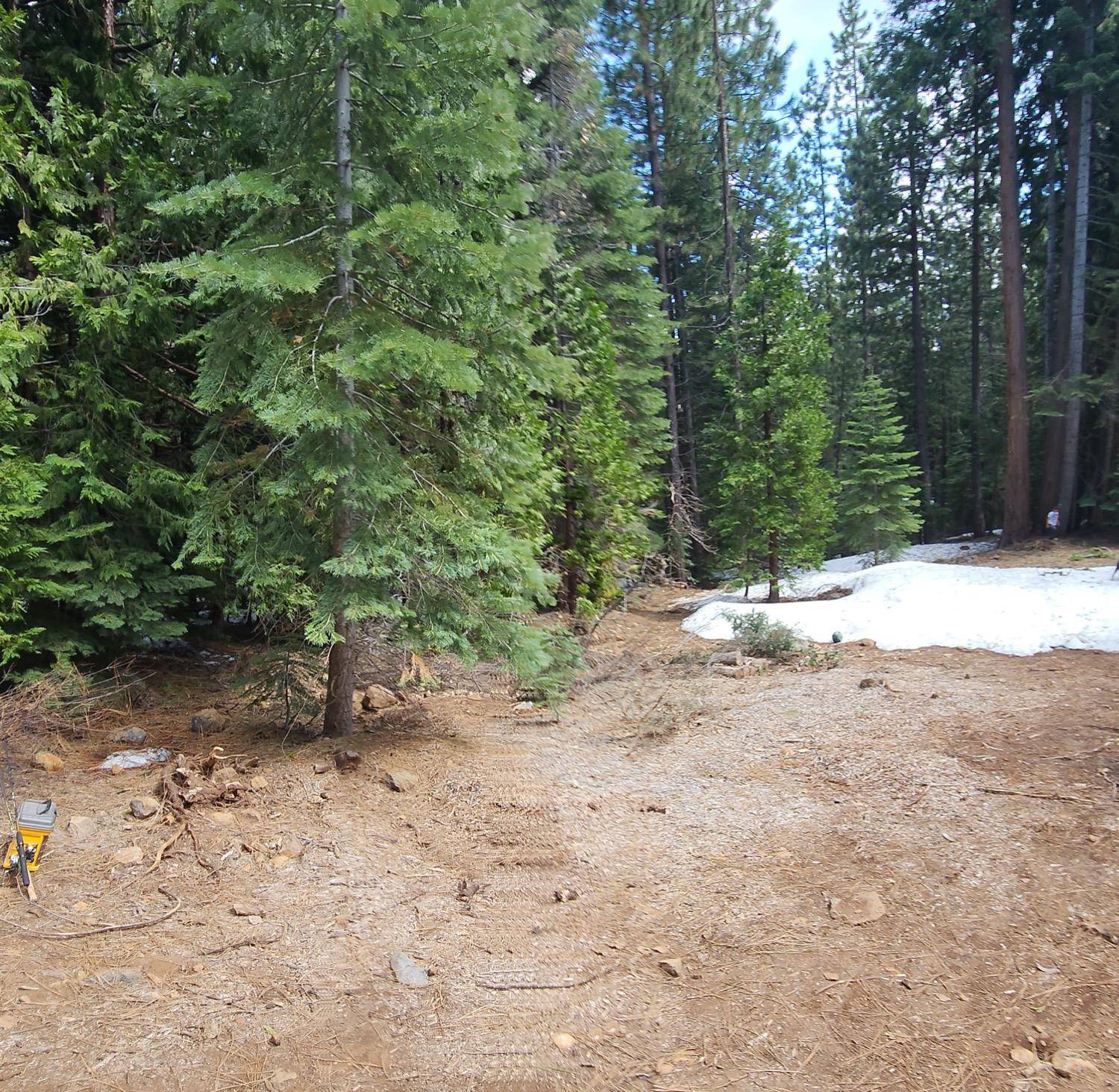 Emigrant Gap, CA 95715,0 Skyline Dr.