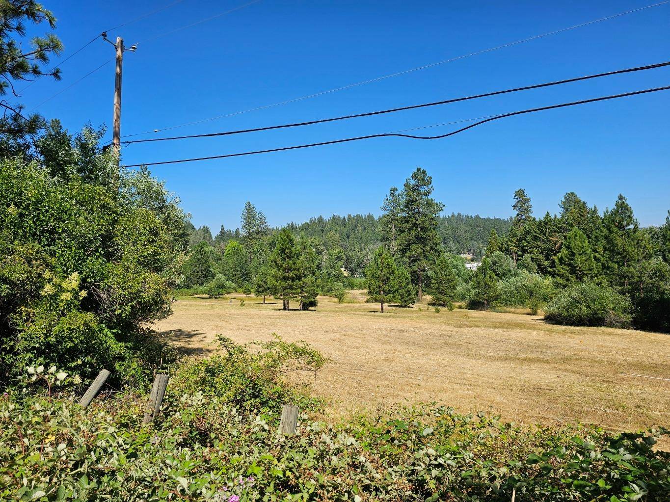 Grass Valley, CA 95945,427 Woodland WAY