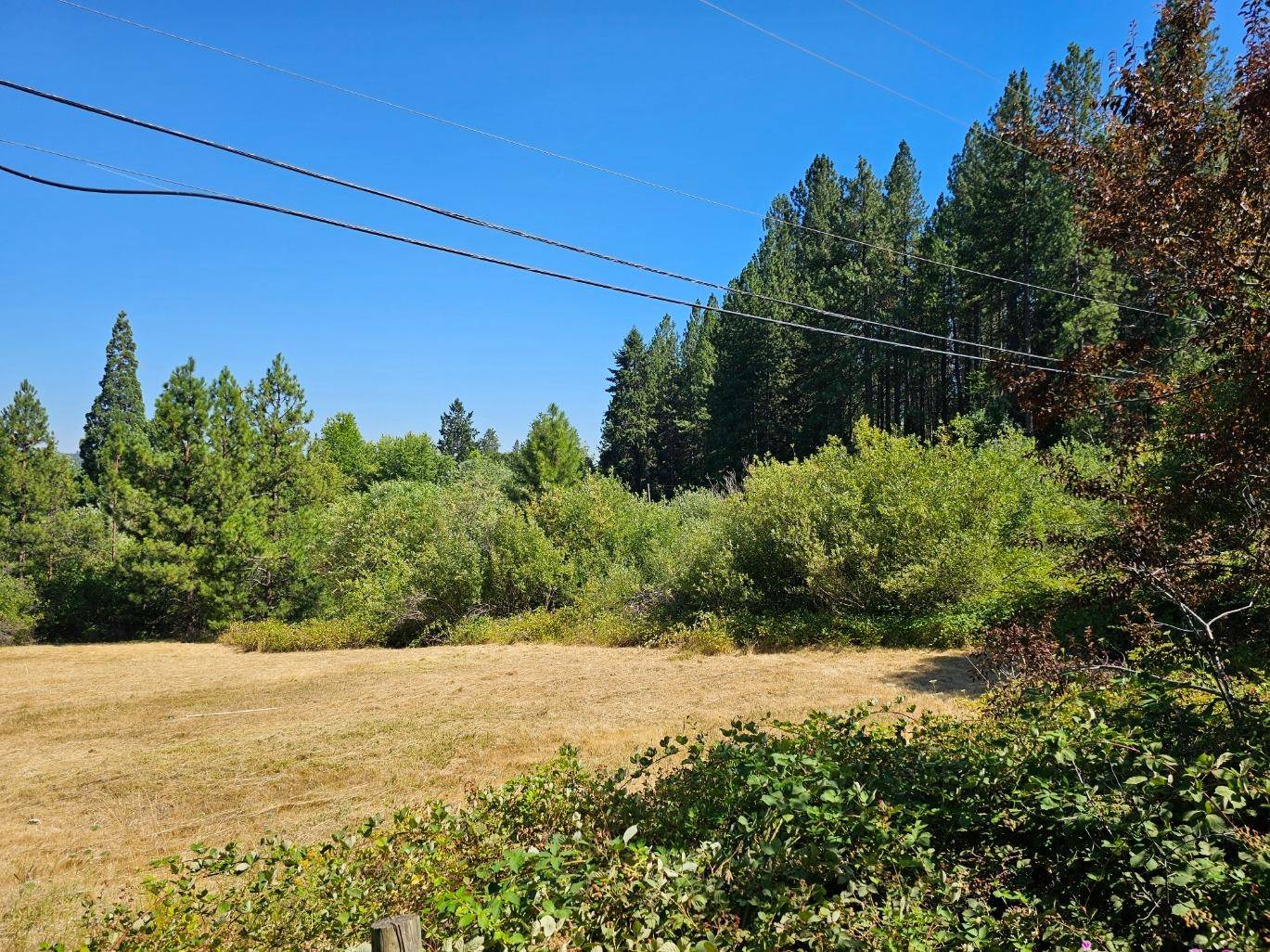 Grass Valley, CA 95945,427 Woodland WAY