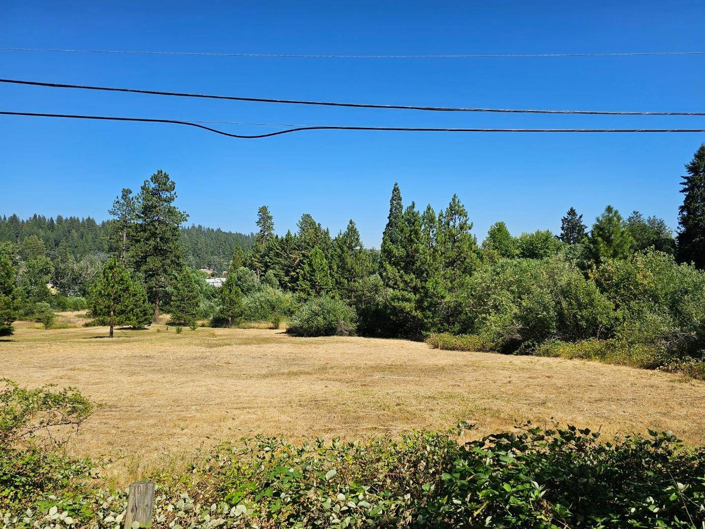 Grass Valley, CA 95945,427 Woodland WAY