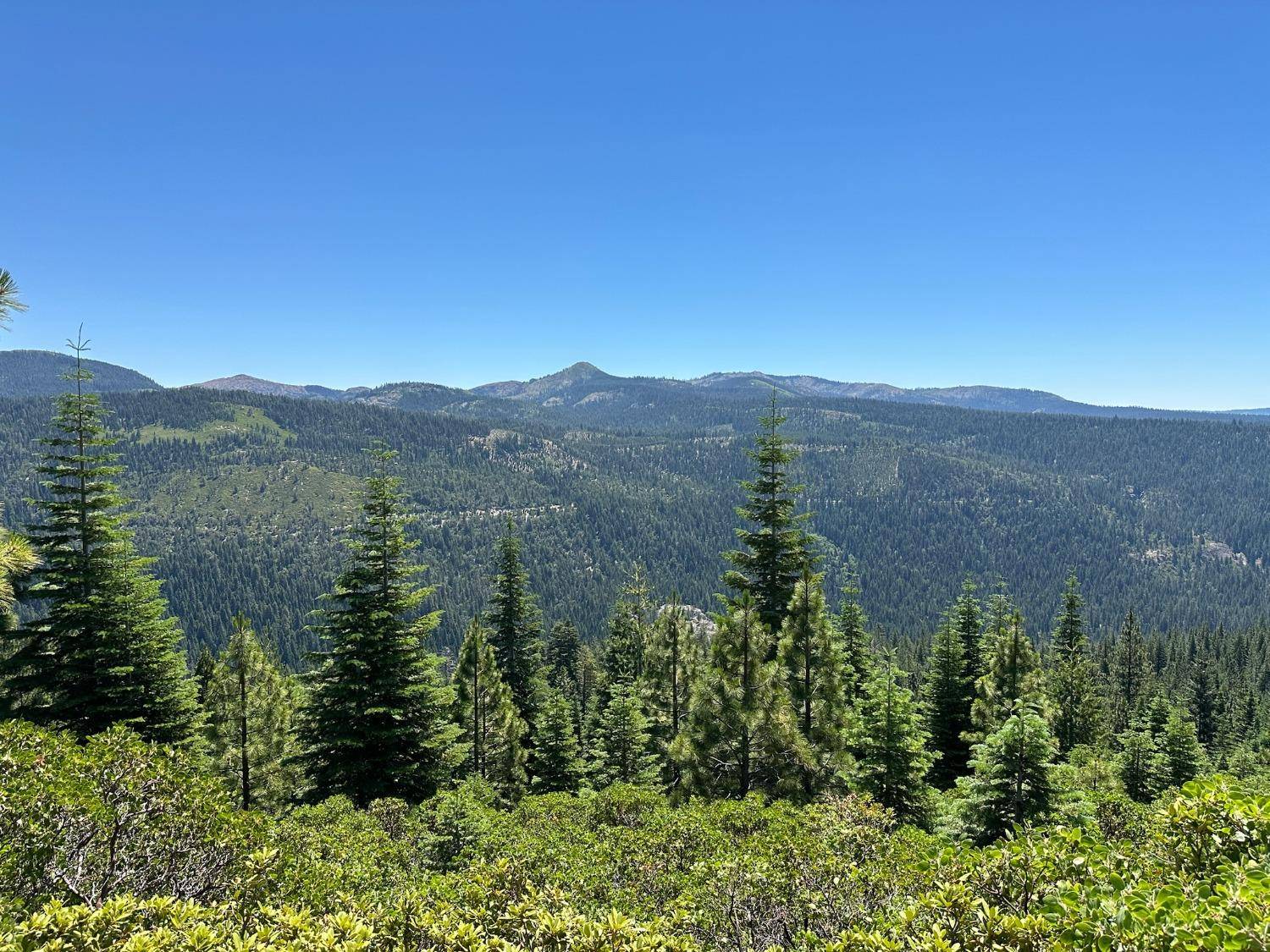 Nevada City, CA 95959,25609 Hoosier RD