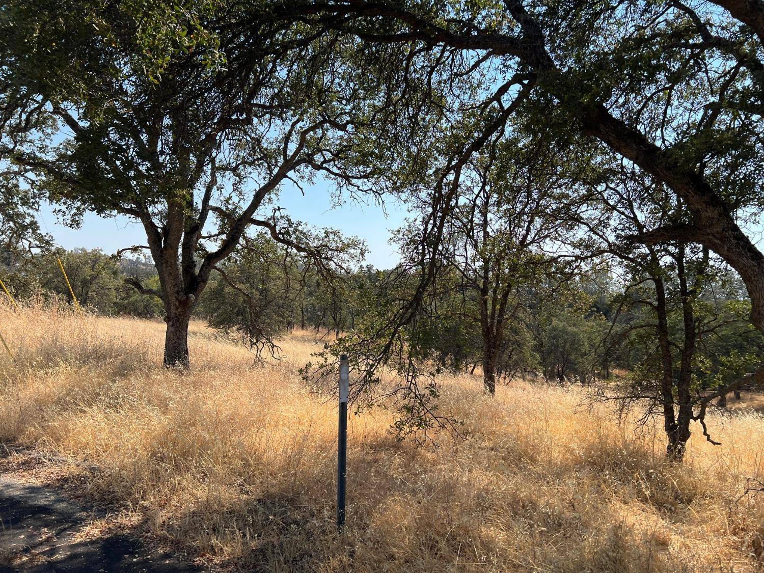 La Grange, CA 95329,4000 Ladera WAY