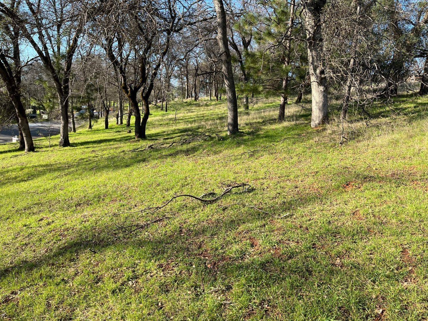 Auburn, CA 95602,Lot 137 Eagle Point CT