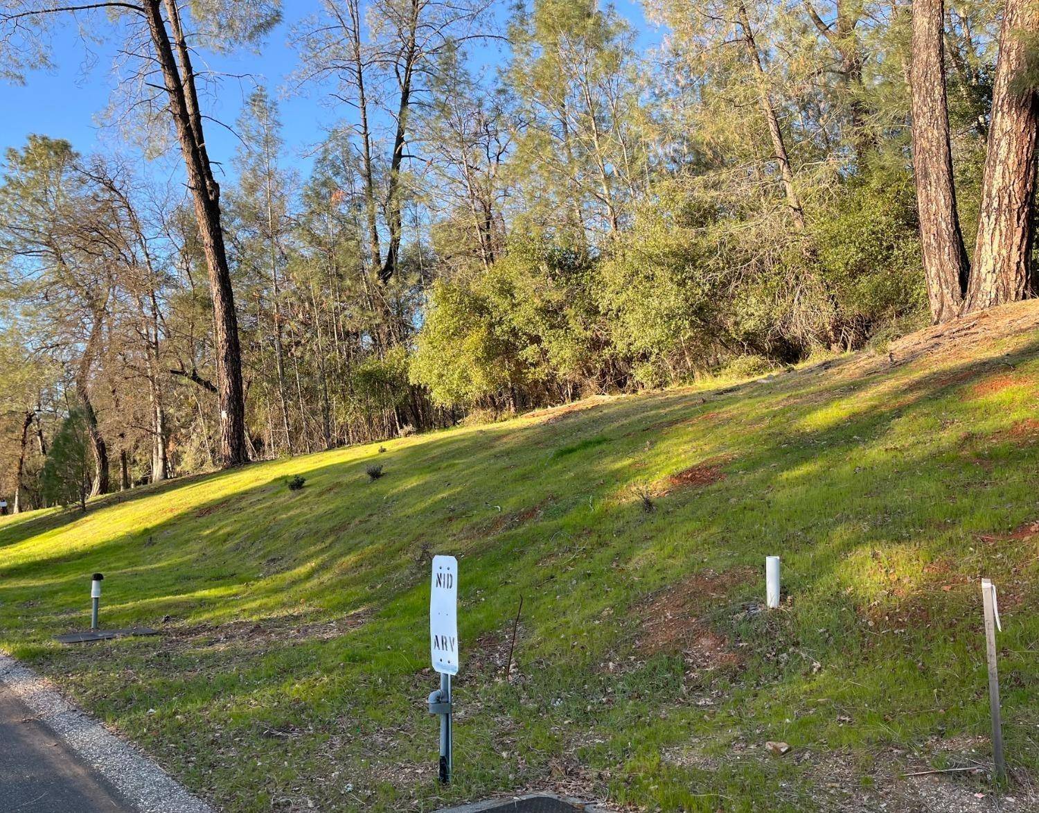 Auburn, CA 95602,Lot 193 Darkhorse DR