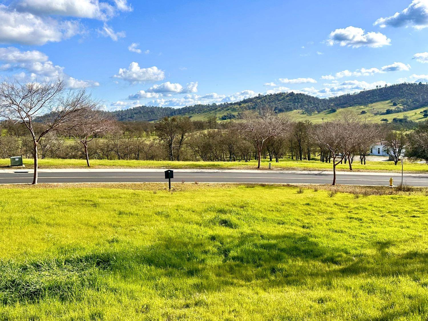 Copperopolis, CA 95228,340 Hawkridge RD