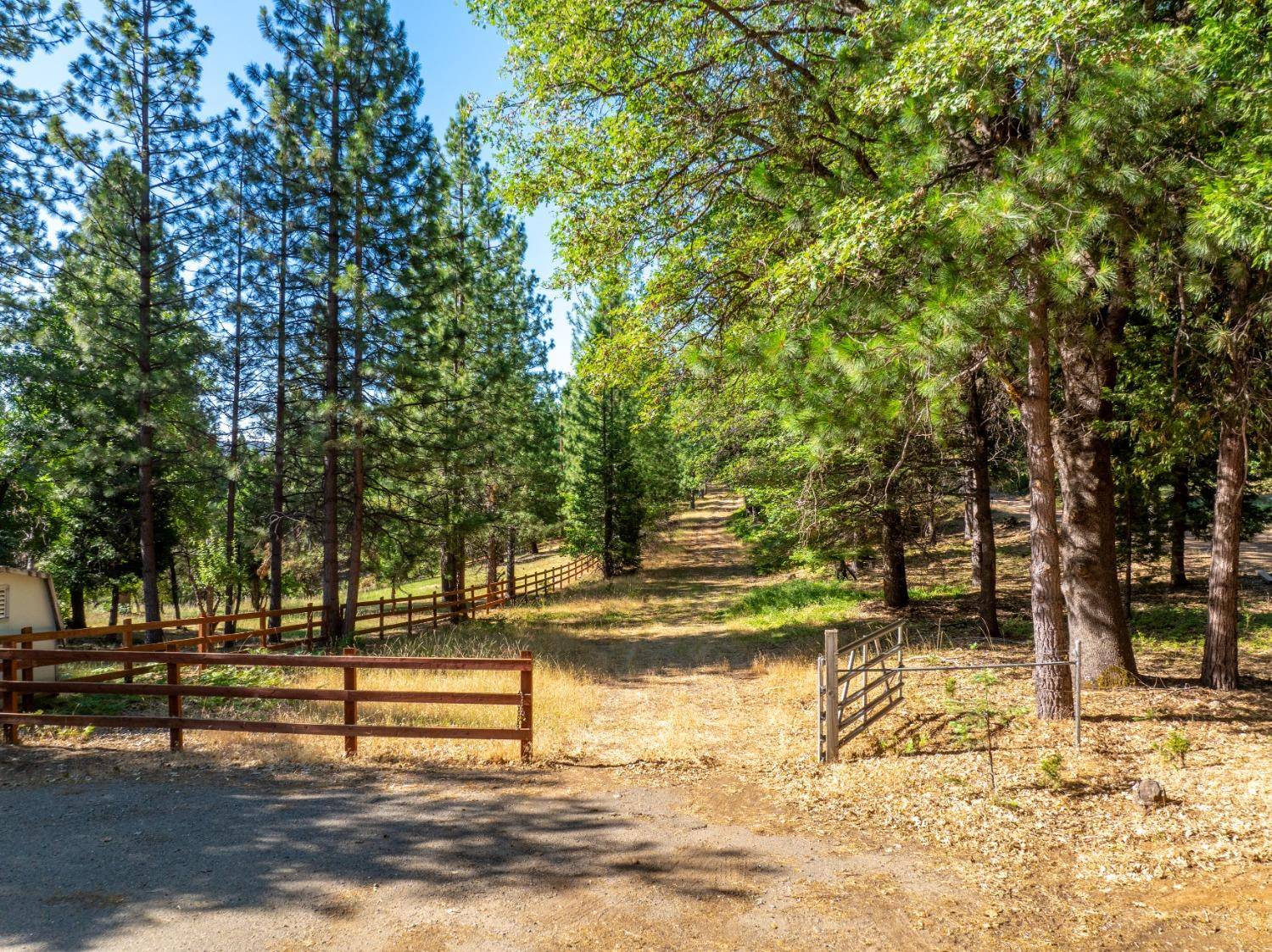 Pollock Pines, CA 95726,TBD Starkes Grade RD