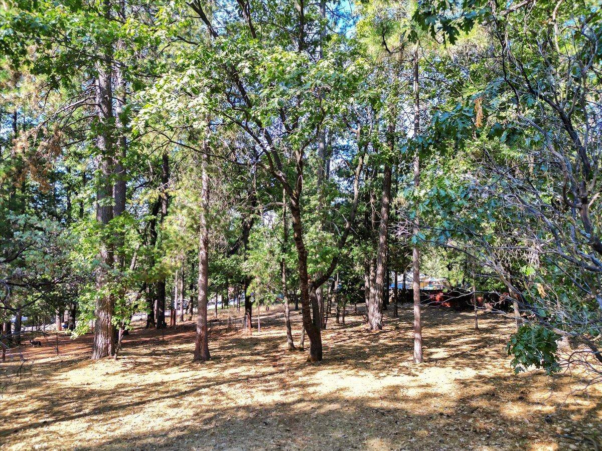 Grass Valley, CA 95949,15696 Terren CT