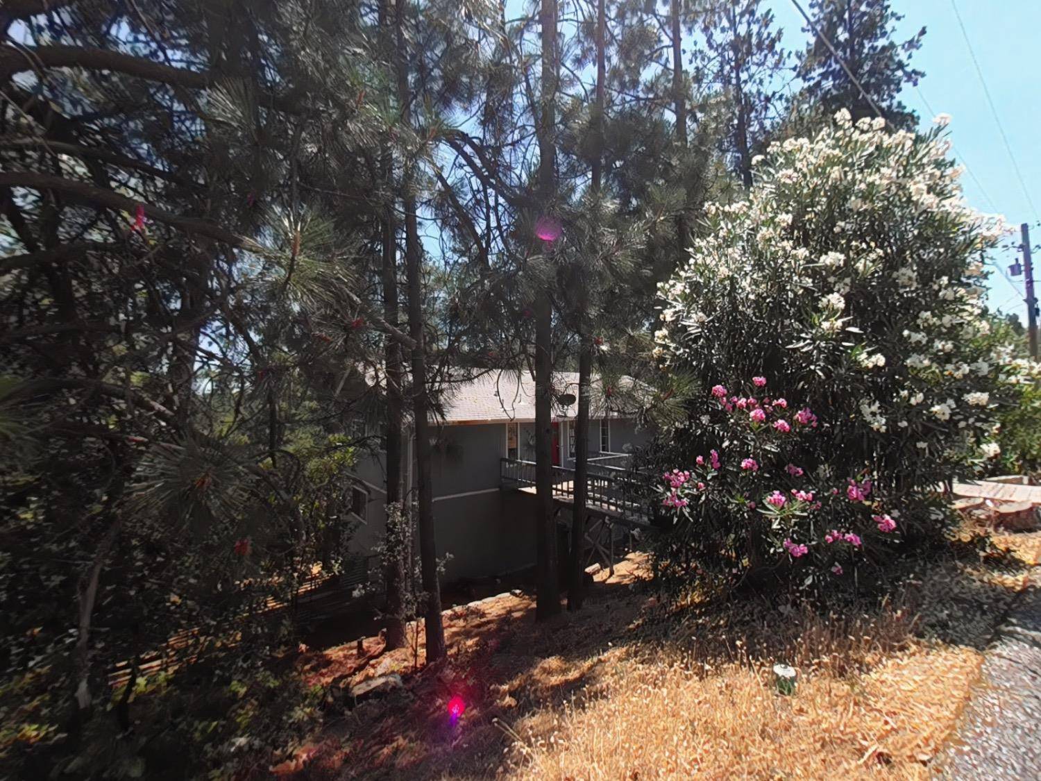 Grass Valley, CA 95949,19056 Connie DR