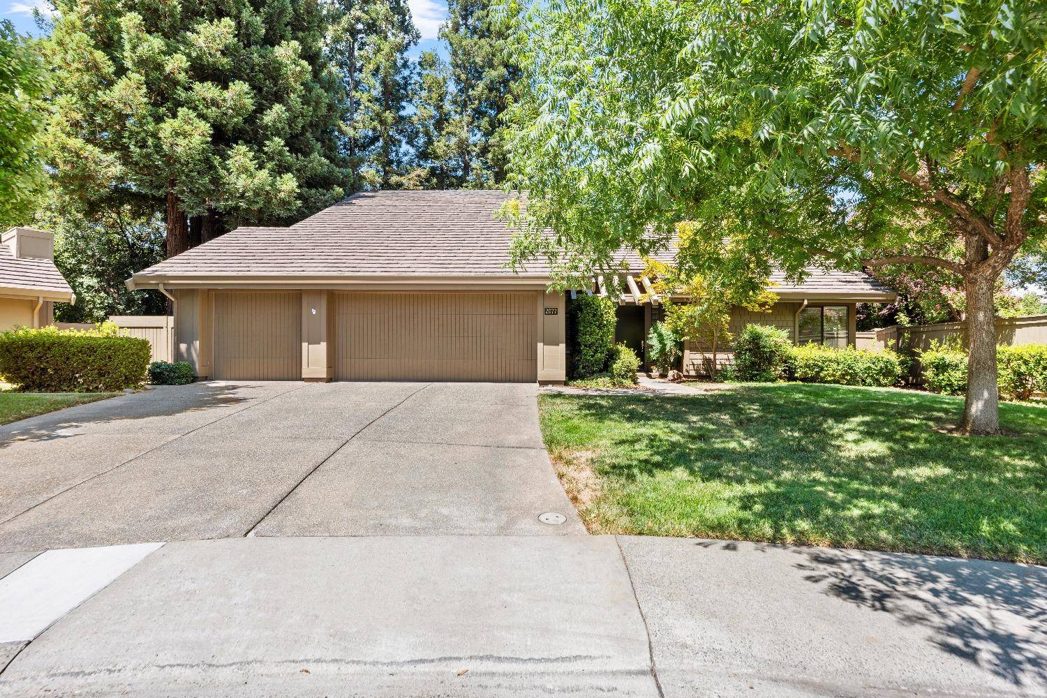 Gold River, CA 95670,2077 Yellow Aster CT