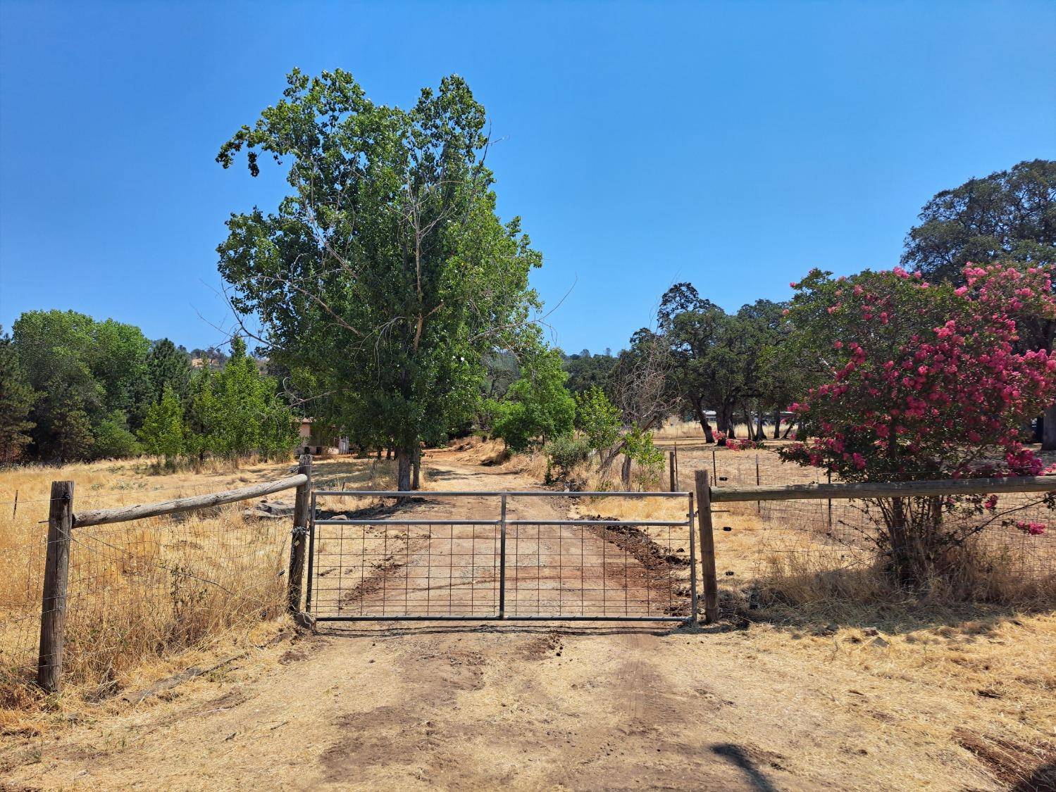 Smartsville, CA 95977,11785 Fairy Ring Mushroom CT