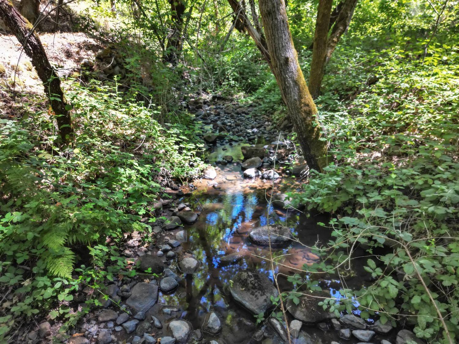 Grass Valley, CA 95949,12606 Francis DR