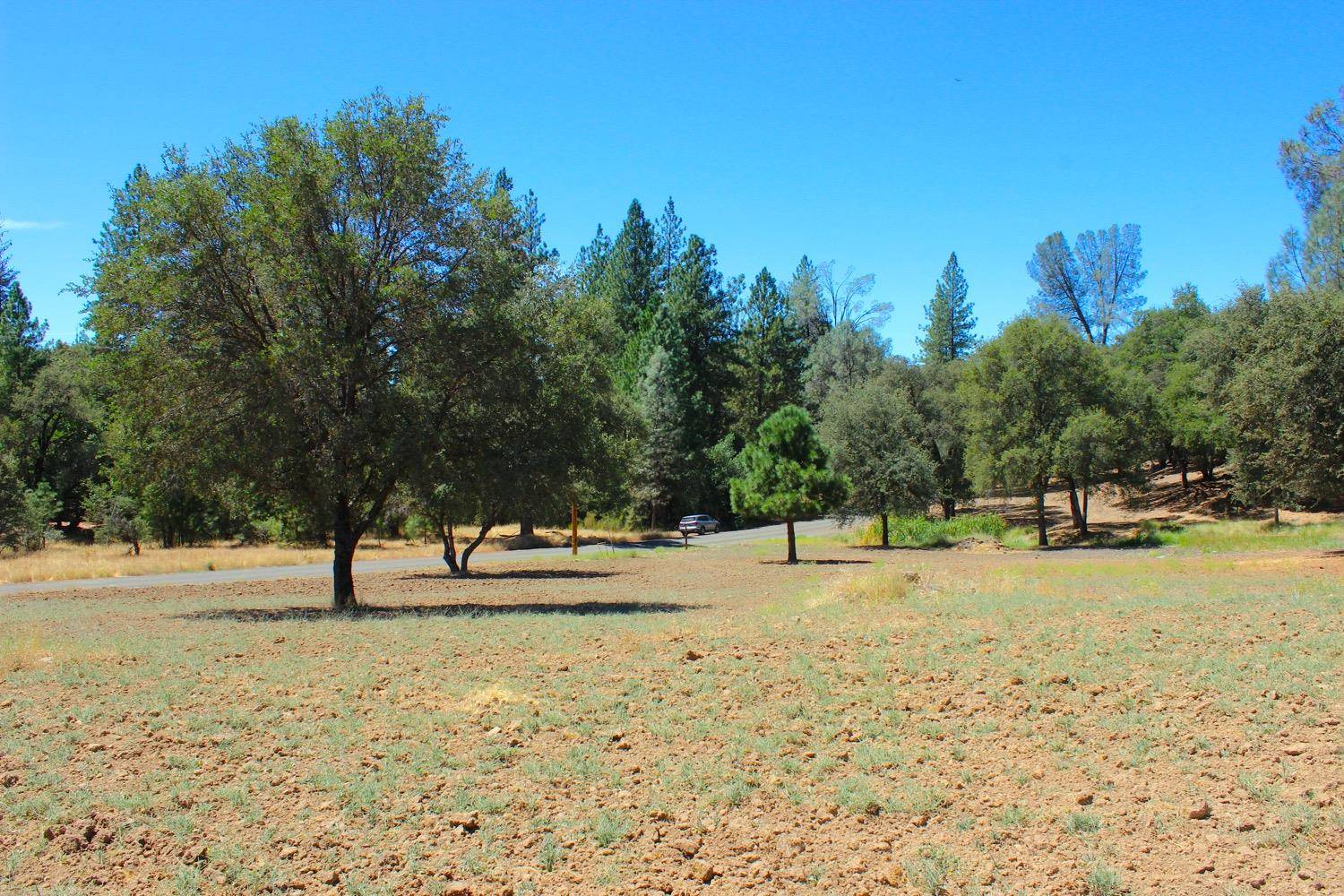 Placerville, CA 95667,2629 Shilo DR