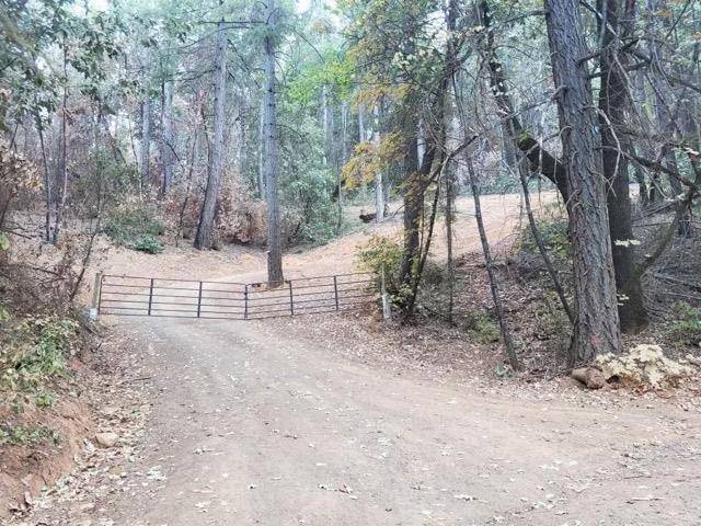 Berry Creek, CA 95916,00 Bloomer Hill RD