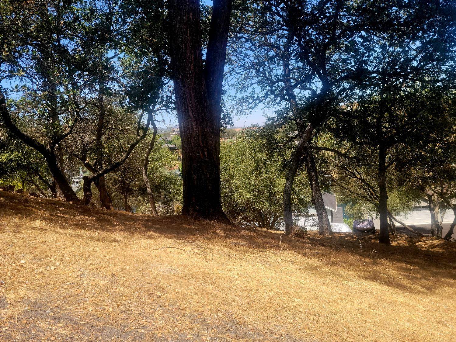 Copperopolis, CA 95228,209 Oakhurst CT
