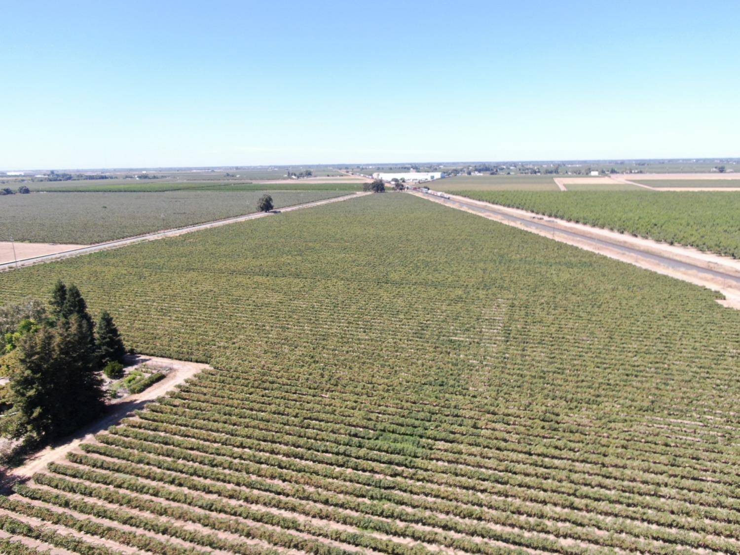 Lodi, CA 95242,4175 W Sargent RD