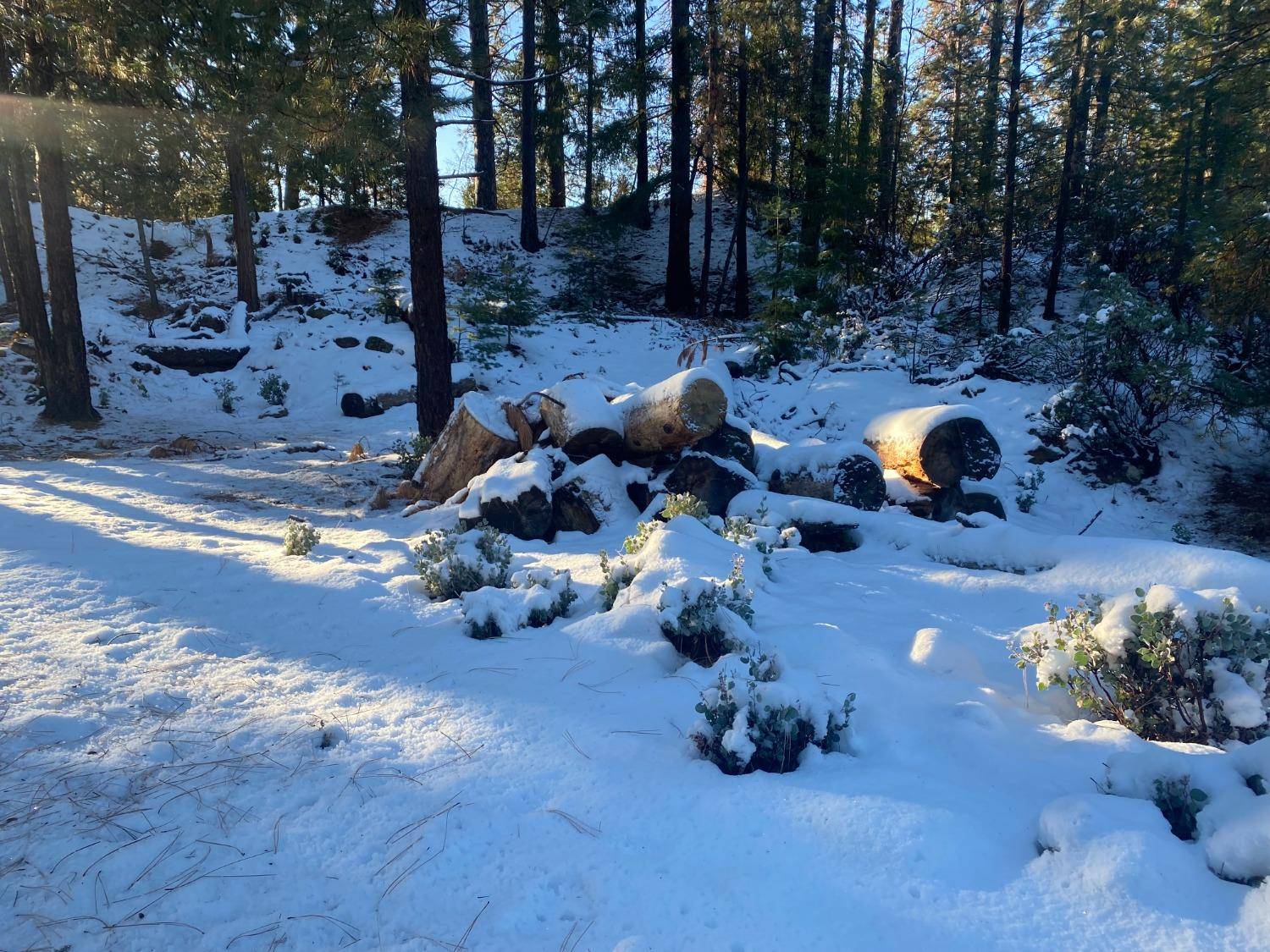 Dutch Flat, CA 95714,1500 Diggins Hill RD