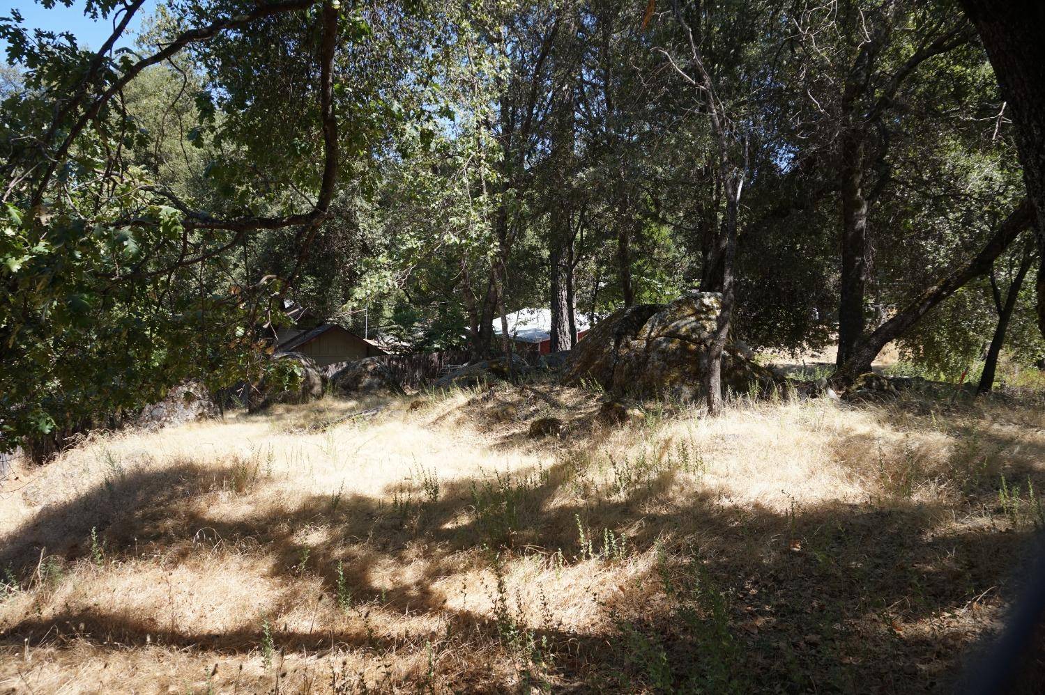 River Pines, CA 95675,14693 Holly LN