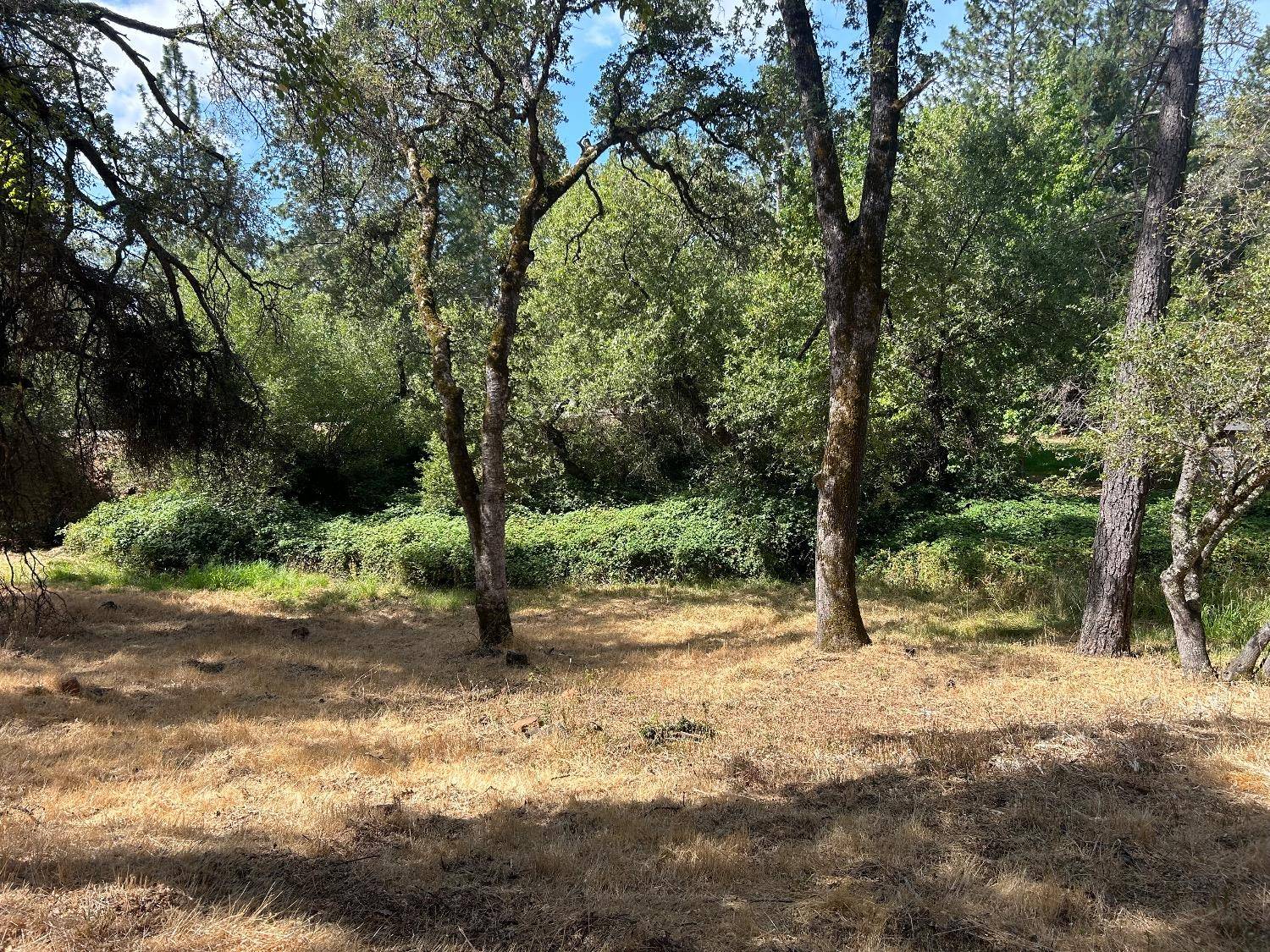 Grass Valley, CA 95949,16798 Patricia WAY