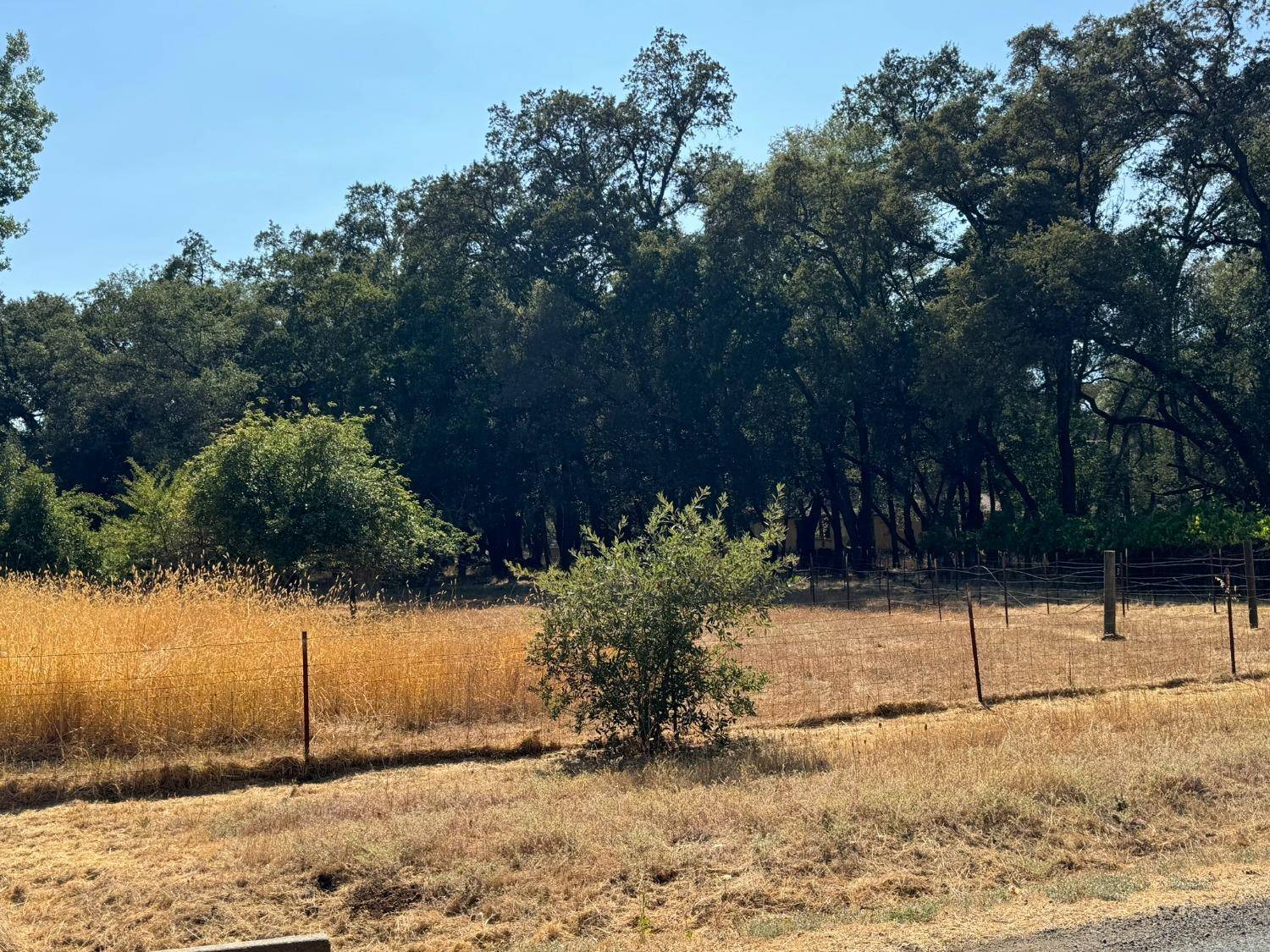 Penn Valley, CA 95946,11015 Layla LN