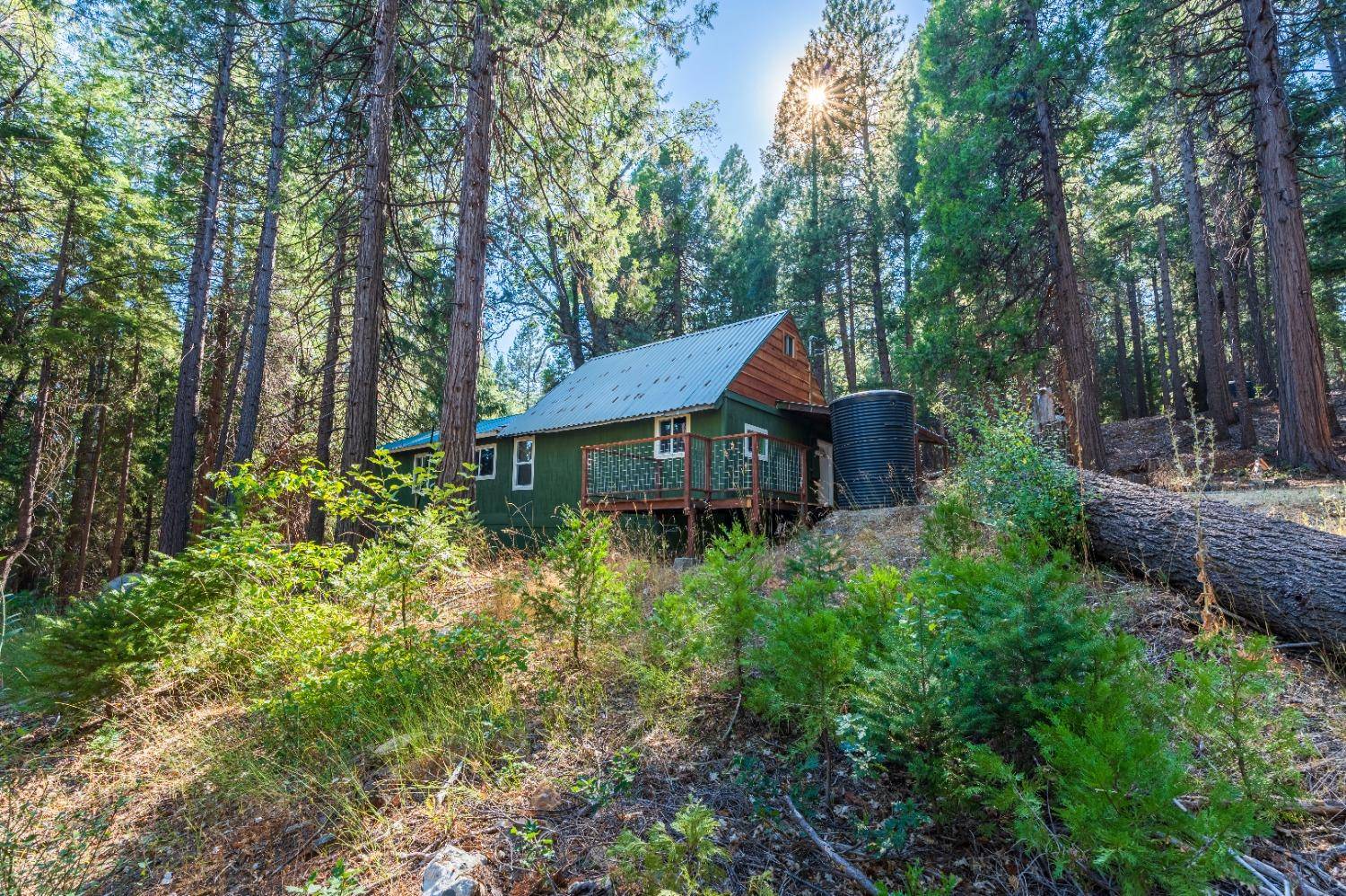 Nevada City, CA 95959,11325 Valencia RD