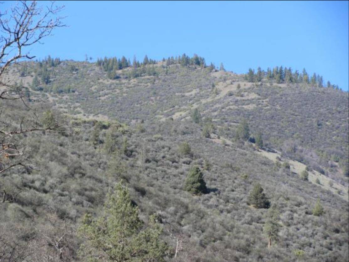Yreka, CA 96067,0 APN 006-330-350