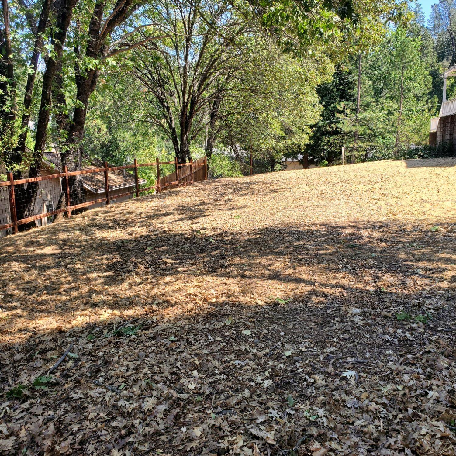 Placerville, CA 95667,3150 Benham CT