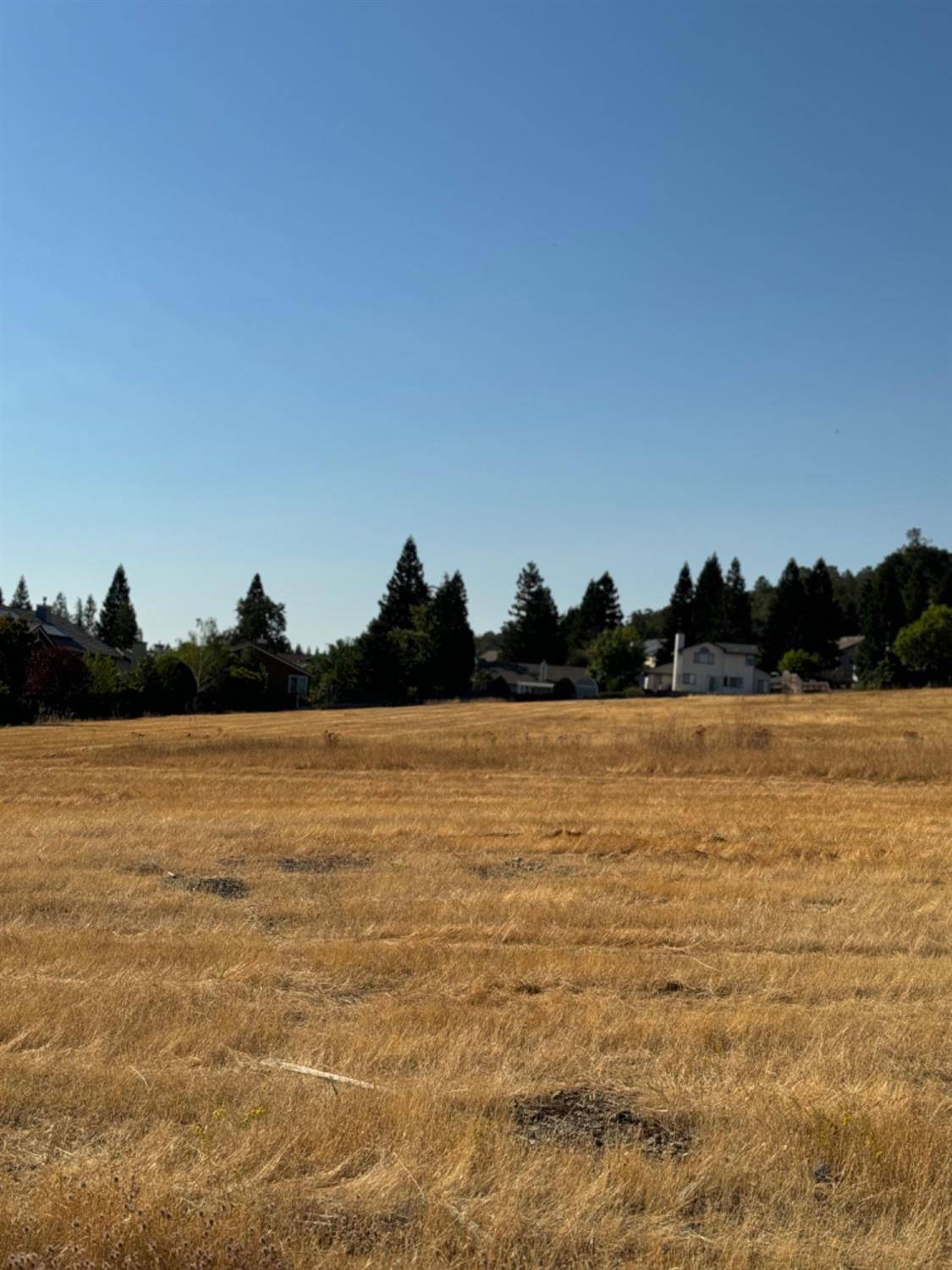 El Dorado Hills, CA 95762,0 Hollow Oak