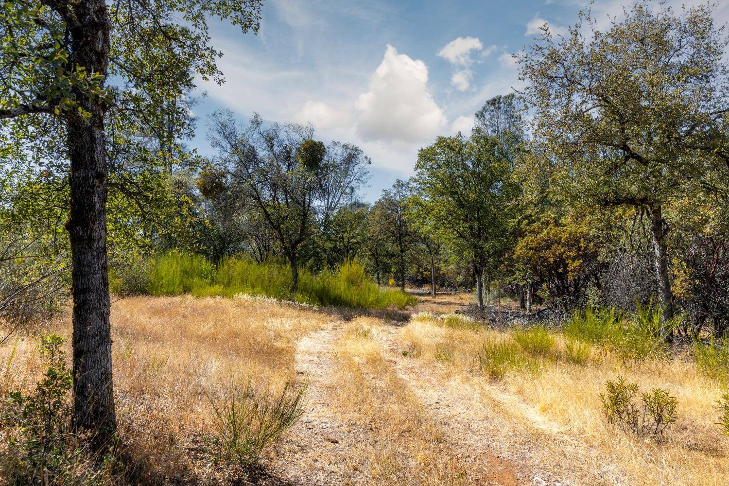 Nevada City, CA 95959,12600 Lowhills RD