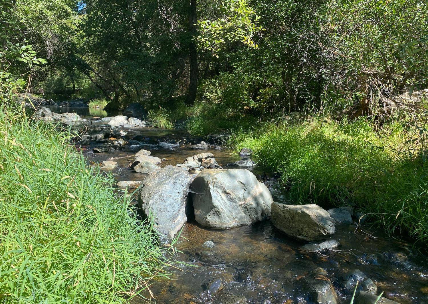 Grass Valley, CA 95949,17530 Scopar RD