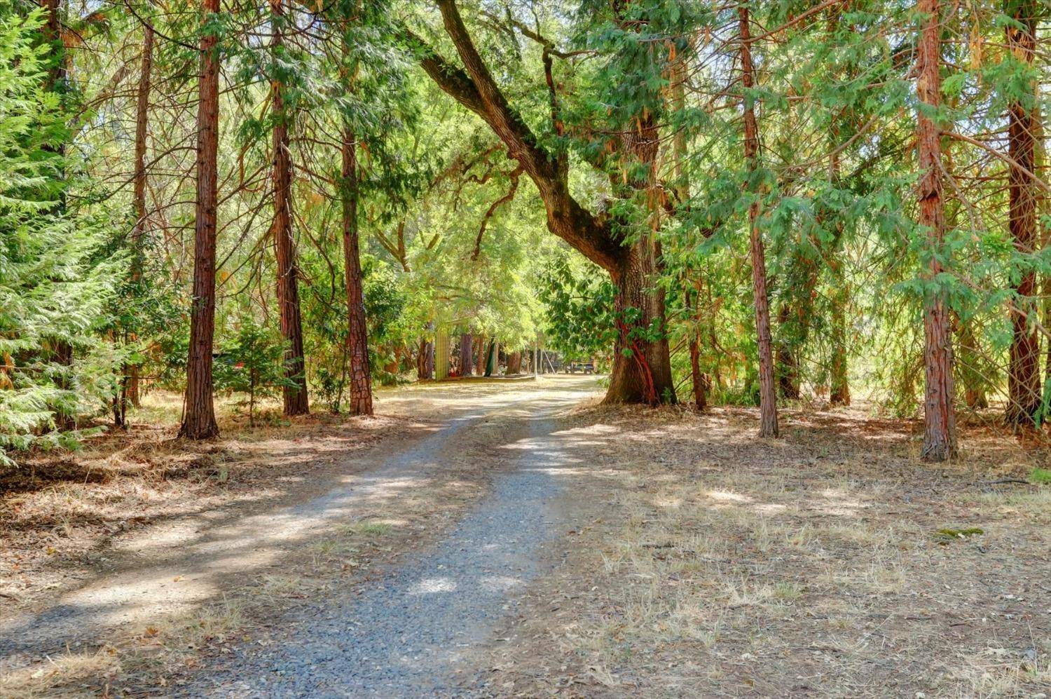 Dobbins, CA 95935,10848 Eich