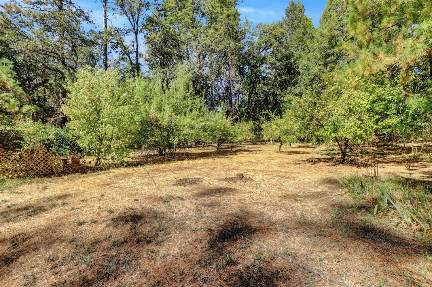 Dobbins, CA 95935,10848 Eich