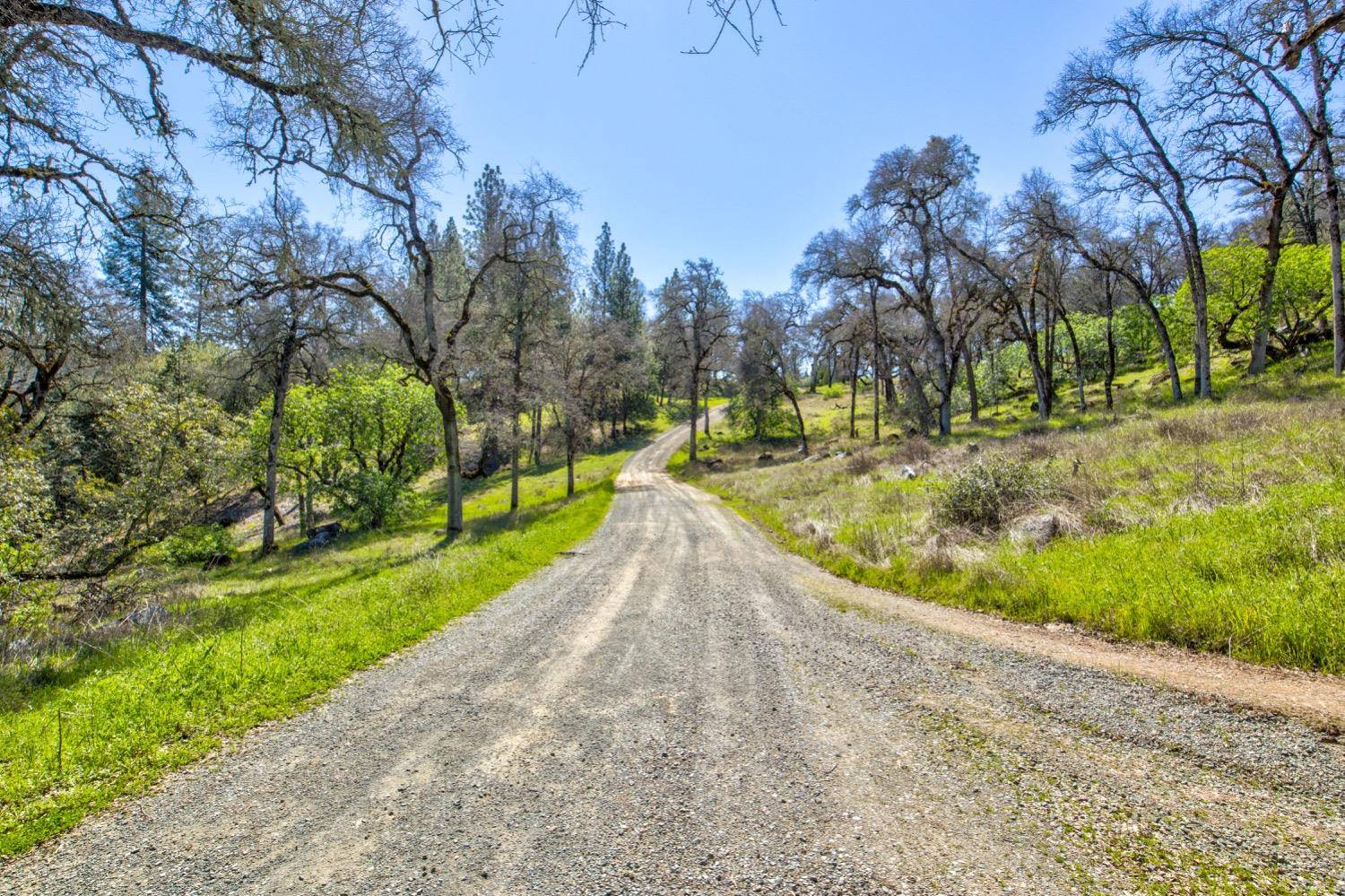 Fiddletown, CA 95629,19277 Cedar Pines DR